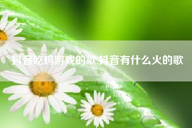 抖音吃鸡游戏的歌,抖音有什么火的歌