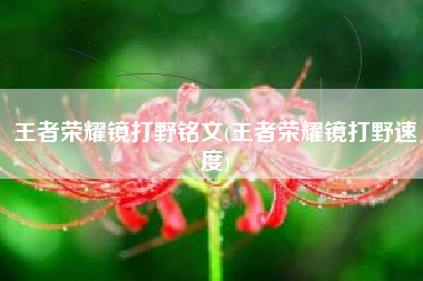 王者荣耀镜打野铭文(王者荣耀镜打野速度)