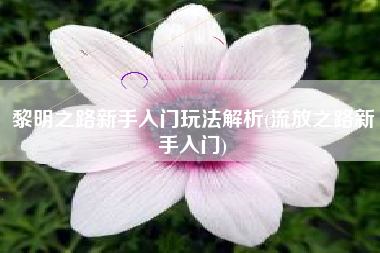 黎明之路新手入门玩法解析(流放之路新手入门)
