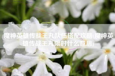魔神英雄传战王丸队伍搭配攻略(魔神英雄传战王丸限时什么意思)