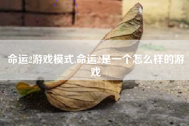 命运2游戏模式,命运2是一个怎么样的游戏