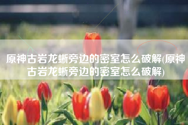 原神古岩龙蜥旁边的密室怎么破解(原神古岩龙蜥旁边的密室怎么破解)