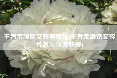 王者荣耀铭文获得软件(王者荣耀铭文碎片怎么快速获得)