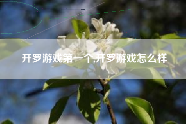 开罗游戏第一个,开罗游戏怎么样