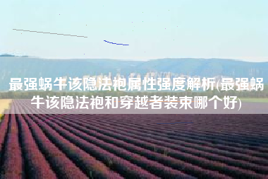 最强蜗牛该隐法袍属性强度解析(最强蜗牛该隐法袍和穿越者装束哪个好)