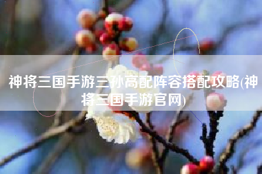 神将三国手游三孙高配阵容搭配攻略(神将三国手游官网)