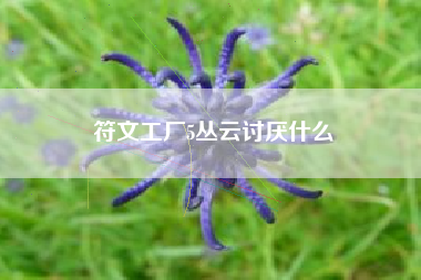 符文工厂5丛云讨厌什么