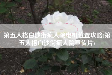 第五人格白沙街疯人院电机位置攻略(第五人格白沙街疯人院宣传片)