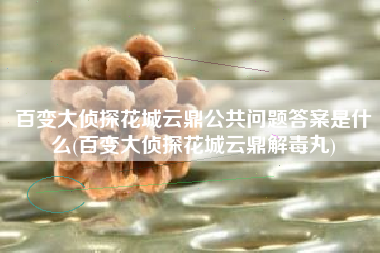 百变大侦探花城云鼎公共问题答案是什么(百变大侦探花城云鼎解毒丸)