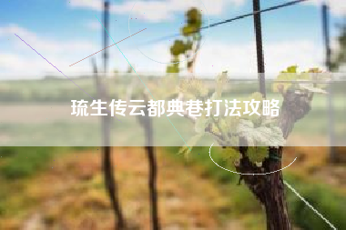 琉生传云都典巷打法攻略