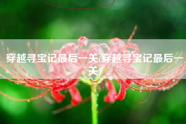 穿越寻宝记最后一关(穿越寻宝记最后一关)