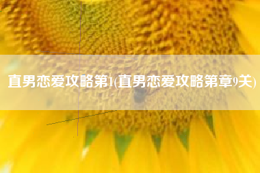 直男恋爱攻略第1(直男恋爱攻略第章9关)