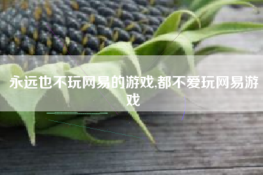 永远也不玩网易的游戏,都不爱玩网易游戏
