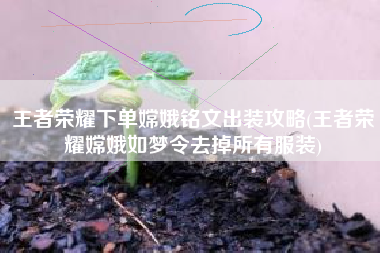 王者荣耀下单嫦娥铭文出装攻略(王者荣耀嫦娥如梦令去掉所有服装)
