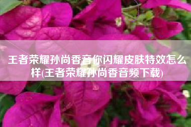 王者荣耀孙尚香音你闪耀皮肤特效怎么样(王者荣耀孙尚香音频下载)