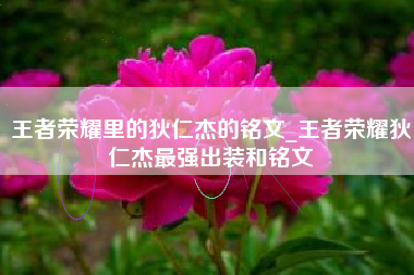 王者荣耀里的狄仁杰的铭文_王者荣耀狄仁杰最强出装和铭文