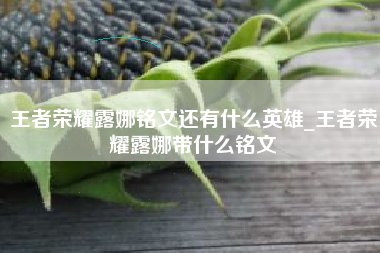 王者荣耀露娜铭文还有什么英雄_王者荣耀露娜带什么铭文