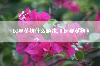 风暴英雄什么游戏,《风暴英雄》