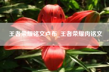 王者荣耀铭文卢布_王者荣耀肉铭文