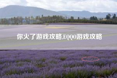 你火了游戏攻略,EQQO游戏攻略