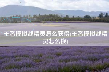 王者模拟战精灵怎么获得(王者模拟战精灵怎么换)