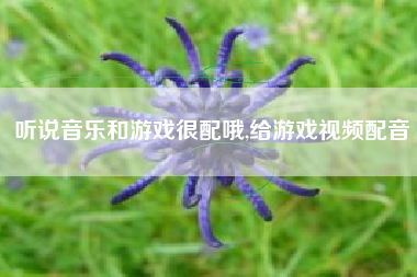 听说音乐和游戏很配哦,给游戏视频配音