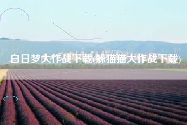 白日梦大作战下载(躲猫猫大作战下载)