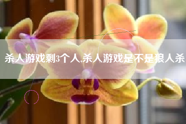 杀人游戏剩3个人,杀人游戏是不是狼人杀