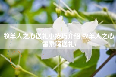 牧羊人之心送礼小技巧介绍(牧羊人之心雷素鸣送礼)