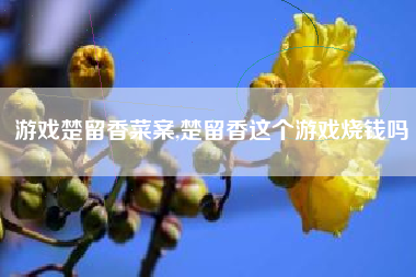 游戏楚留香菜案,楚留香这个游戏烧钱吗