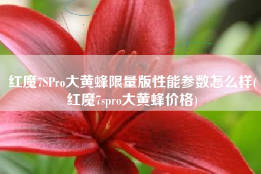 红魔7SPro大黄蜂限量版性能参数怎么样(红魔7spro大黄蜂价格)