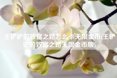 王铲铲的致富之路怎么卡无限金币(王铲铲的致富之路无限金币版)