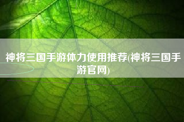神将三国手游体力使用推荐(神将三国手游官网)