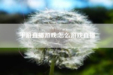 手游直播游戏,怎么游戏直播