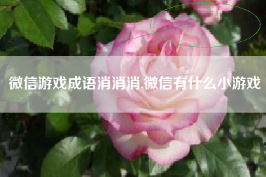 微信游戏成语消消消,微信有什么小游戏