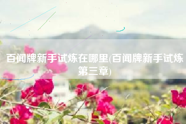 百闻牌新手试炼在哪里(百闻牌新手试炼第三章)