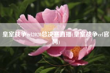 皇室战争crl2020总决赛直播(皇室战争crl官网)