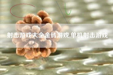 射击游戏大全金砖游戏,单机射击游戏