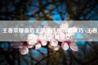 王者荣耀桑启无限飞连招攻略技巧 (王者荣耀桑启是男是女)