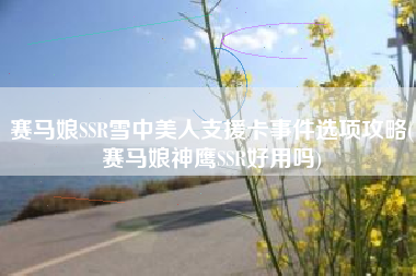赛马娘SSR雪中美人支援卡事件选项攻略(赛马娘神鹰SSR好用吗)