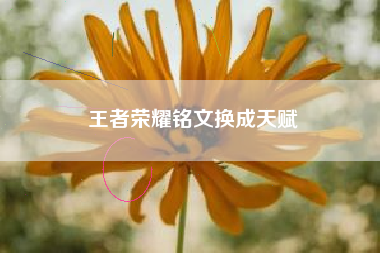 王者荣耀铭文换成天赋