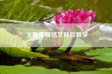 王者荣耀铭文特权教学