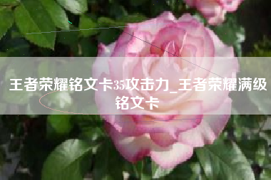王者荣耀铭文卡35攻击力_王者荣耀满级铭文卡