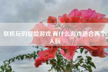 联机玩的冒险游戏,有什么游戏适合两个人玩