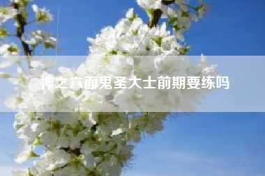 神之六面鬼圣大士前期要练吗