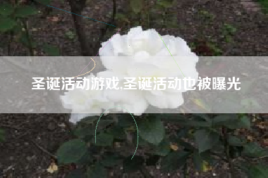 圣诞活动游戏,圣诞活动也被曝光