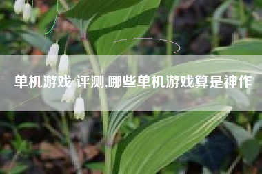 单机游戏 评测,哪些单机游戏算是神作