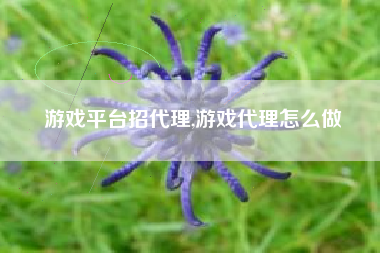 游戏平台招代理,游戏代理怎么做