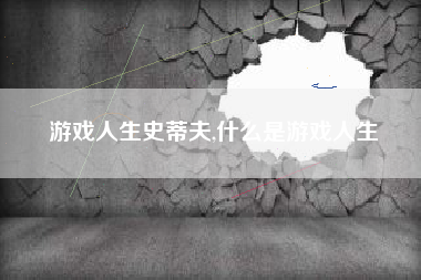 游戏人生史蒂夫,什么是游戏人生