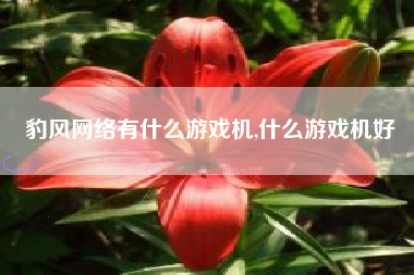 豹风网络有什么游戏机,什么游戏机好